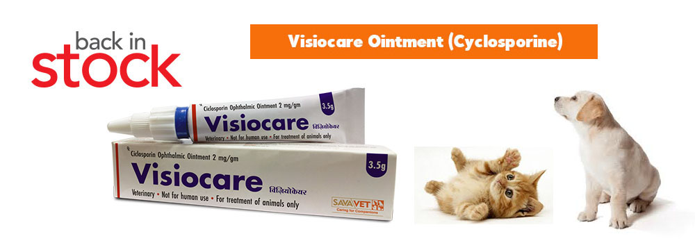 Visiocare Ointment Cyclosporine 2mg Back to Stock